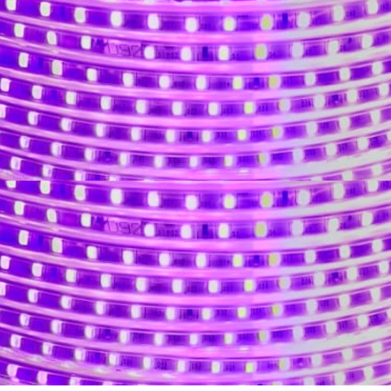 Cinta LED Rosado 2835 Con Adhesivo Interior Exterior Corte Cada 10Cm