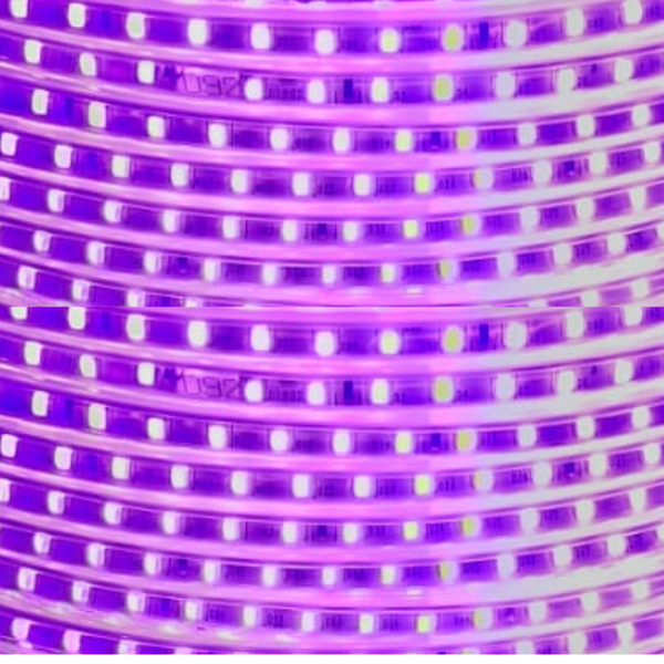 Cinta LED Rosado 2835 Con Adhesivo Interior Exterior Corte Cada 10Cm